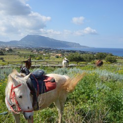 Trekking a cavallo su Monte Cofano